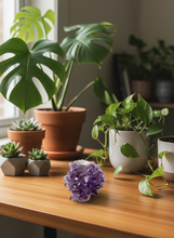 Load image into Gallery viewer, Purple Amethyst Cluster - Natural Canadian Amethyst