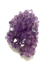 Load image into Gallery viewer, Purple Amethyst Cluster - Natural Canadian Amethyst