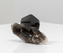 Load image into Gallery viewer, Premium smokey quartz specimen showing rare scepter architecture with mirror-like crystal faces and exceptional clarity, collectible mineral from Diamond Willow Amethyst Mine