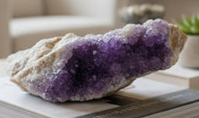 Load image into Gallery viewer, Purple Thunder Bay amethyst crystal display specimen 16cm with vibrant color from Diamond Willow Mine