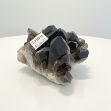 Load image into Gallery viewer, Natural smoky quartz cluster displaying sharp crystal points, rich dark coloration, and pristine terminations on white surface