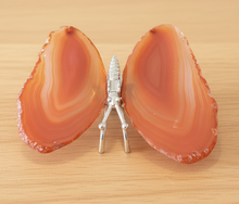 Load image into Gallery viewer, Brazilian agate butterfly specimen with peach coral and sunset orange wings displayed on wood table, front view showing natural translucent banding