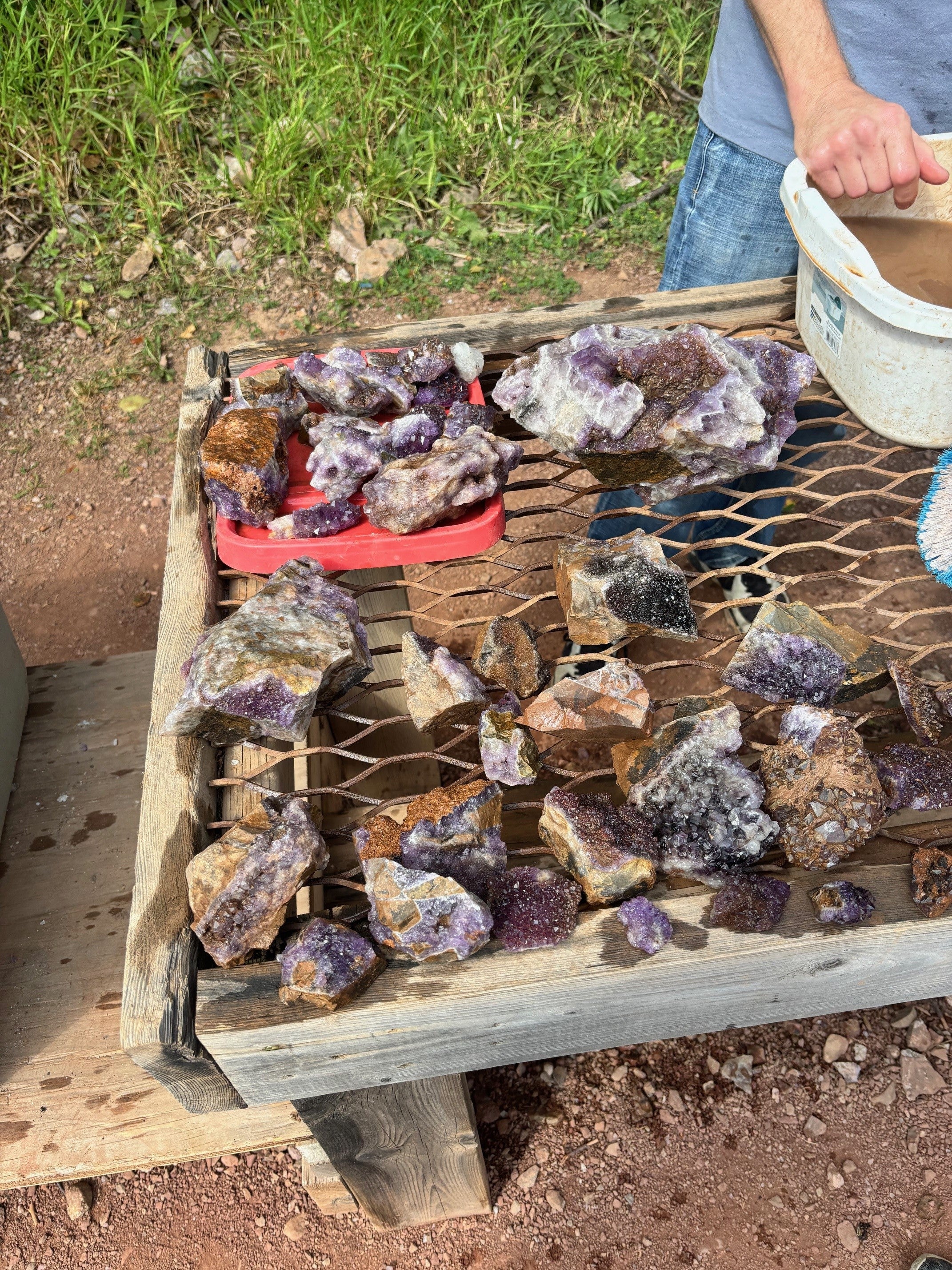 Amethyst collecting – Diamond Willow Amethyst Mine