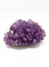 Load image into Gallery viewer, Purple Amethyst Cluster - Natural Canadian Amethyst
