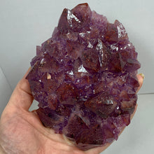 Load image into Gallery viewer, Amethyst Cluster HPM-0124
