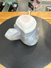 Load image into Gallery viewer, Brazilian Druzy Agate Turtle Carving with Grey Banding
