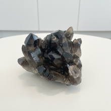Load image into Gallery viewer, Brazilian smoky quartz specimen with dramatic dark crystals and clear quartz accents, 9cm museum-quality cluster on white background

