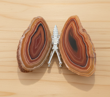 Load image into Gallery viewer, Brazilian agate butterfly specimen with warm earth tones and dramatic concentric banding in orange, brown, and cream displayed on wood table, front view
