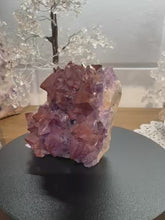 Load and play video in Gallery viewer, Thunder Bay Amethyst with Hematite Inclusions - Unique Crystal Structure
