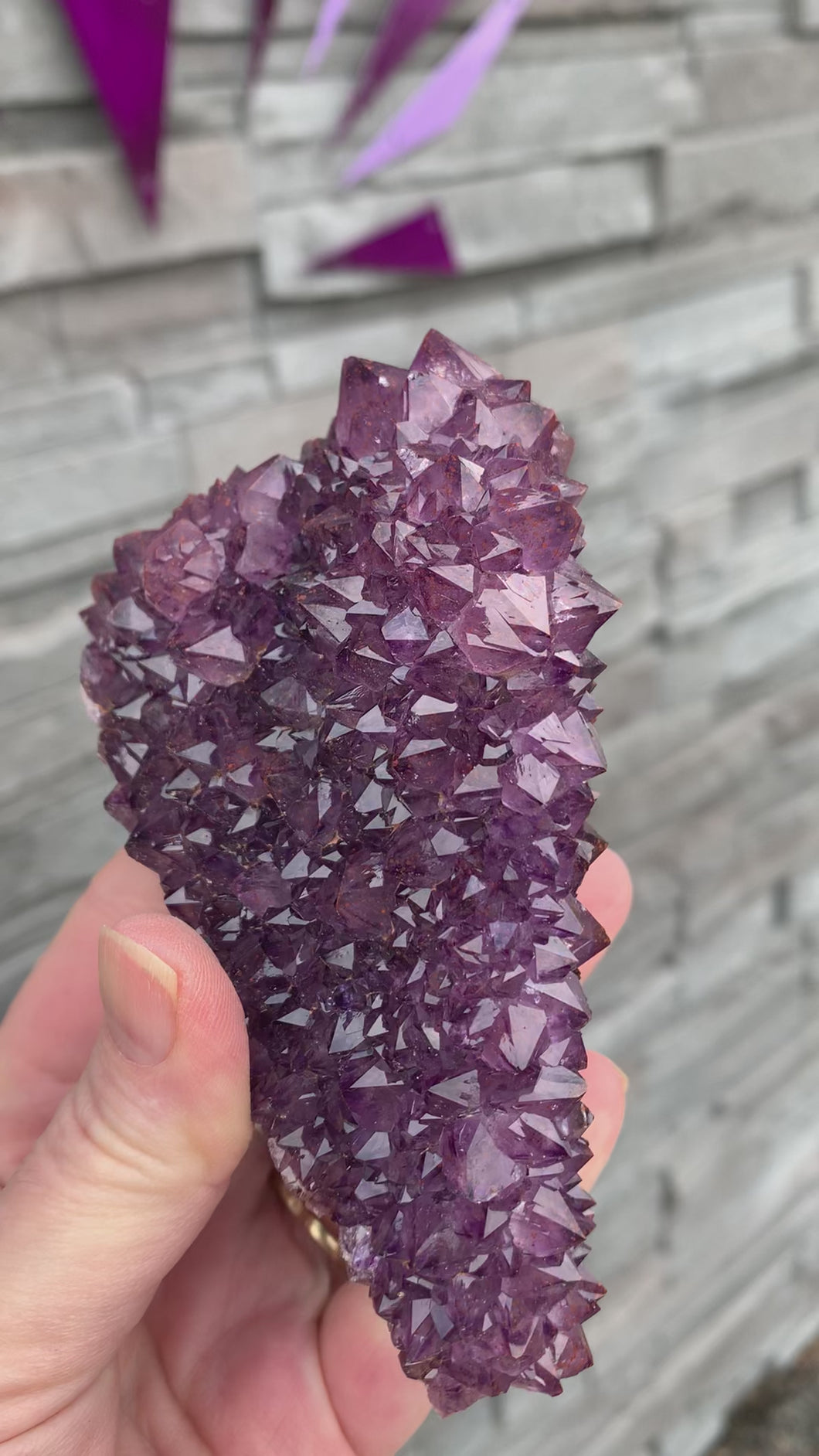 Amethyst Cluster