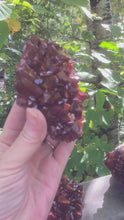 Load and play video in Gallery viewer, Thunder Bay Red Cap Hematite Heart – Polished Amethyst with Hematite Inclusion
