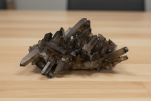 Load image into Gallery viewer, Brazilian Smokey Quartz crystal cluster with natural arrangement of dark smoky crystals on white background, 13x10x5cm specimen from Thunder Bay
